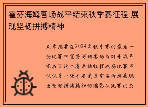 霍芬海姆客场战平结束秋季赛征程 展现坚韧拼搏精神